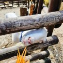 소양농장 이미지