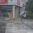 인제한약방 네이버블로그
