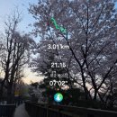 (주)밸류프로 | [노맛존강남] 만족스러운 야끼토리 나루토/표량 동파육/맨날가는 한율막국수+4월초 남산벚꽃상태