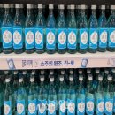 진로 티스토리