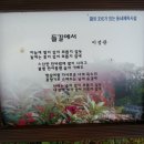 망마경기장 Daum카페