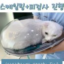 내포동물의료센터 이미지