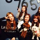 소나무하우스 이미지