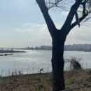 하단동1153 이미지