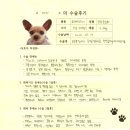 디딤동물병원 | [#1440] 까미(우측 슬개골탈구 G3 / 우측 전방십자인대)의 수술후기