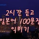 일본어 회화(기초) 이미지