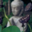 요가체조 이미지