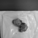 문정탑 동물병원 이미지