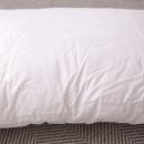 미스터빅 이미지