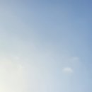 승승칼국수 이미지