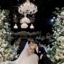 블리스 | 1인 작가 아이폰스냅 업체 다즐링블리스 본식 후기🖤🤍