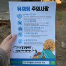 V-13 | 유식물원캠핑장 V데크 사이트 13번 사이즈 및 후기