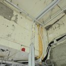 봇들1로 이미지