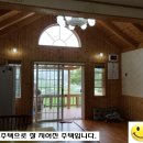 평사(여) Daum카페