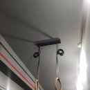 크로스핏 핏불 이미지