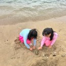 아름어린이공원(어21) | 필수코스 하나우마베이 모바일 셀프예약 및 스노쿨링 후기 하나우마베이 근처 코코마리나센터 로코모코...