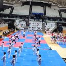 성실태권도 체육관 이미지