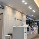 365봄연합의원 | 서울 강서구 일요일 소아과 검진 병원 365봄연합의원