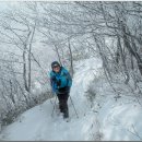 ▲﻿﻿민주지산 산행기--첩첩산중을 이룬 설경이 아름다운 산 이미지