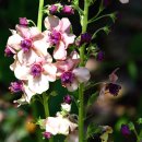 그룸그룸 이미지