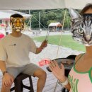 카사데인제 이미지