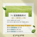 (주)군민운수 | 四字成語 총정리 ㄴ 217 능라주의~능마강소
