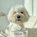 닥터독앤켓 이미지