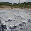 제두염전 이미지