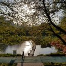 새날약국 이미지