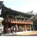 남산레포츠공원 이미지