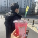 220317 아이스핑크메그놀리아/핀크리스프/대전 쉑쉑버거/에어랩