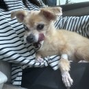 다민동물병원 이미지