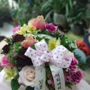 모아산부인과병원 이미지