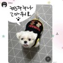 아리묘 | 오키! 나와!
