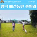 딜라이트 107 풀빌라(DELIGHT 107 POOLVILLA) | 영덕 애견동반 펜션 추천 딜라이트 107 풀빌라 오션뷰 가족 힐링 숙소