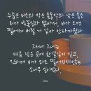 네일에물들다 이미지