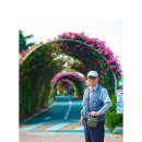 호수공원6로 이미지