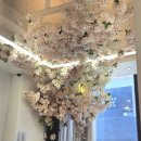 진갈매 | 갈매역미용실 미오름헤어 갈매점 뿌리염색 지연원장님 만족 후기