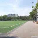 신트리공원 축구장 이미지