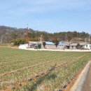 복룡축산 이미지