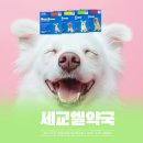 세교엘약국 이미지