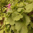 만나농장 이미지