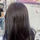 프린세스헤어네일 네이버블로그