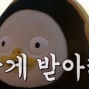 이철규사과 이미지