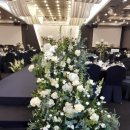 삼정투어 이미지