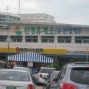 안춘규