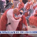 가비스 Daum카페