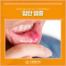 입안에행복치과의원
