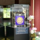 오조룡왕비보 이미지