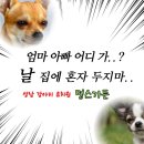 멍스가든 이미지